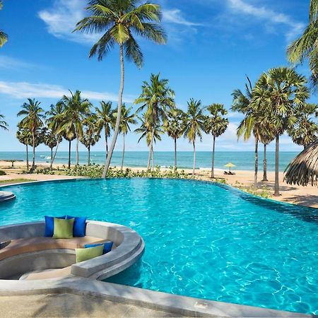Jetwing Surf & Safari, A Luxury Reserve Arugam Bay Exteriör bild