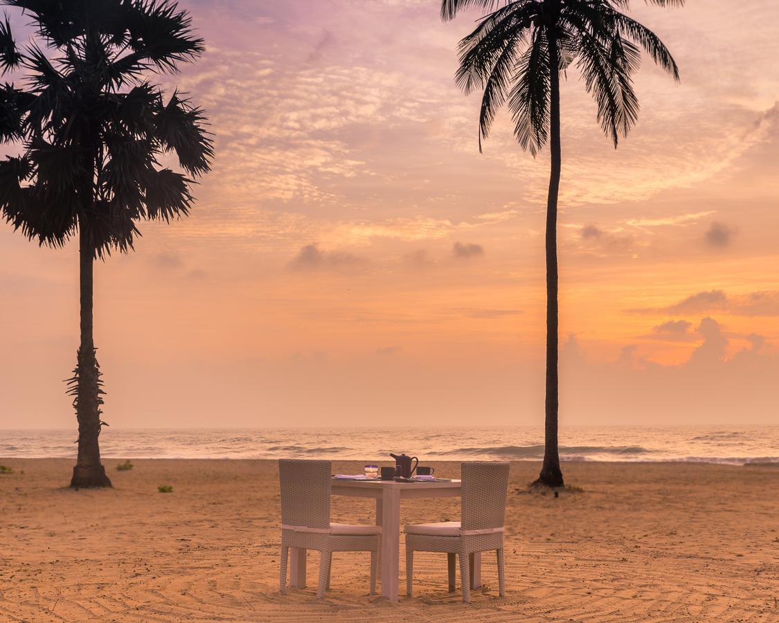 Jetwing Surf & Safari, A Luxury Reserve Arugam Bay Exteriör bild